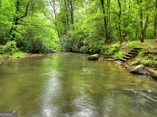 300 River Road, Cherry Log, GA 30522