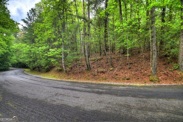 300 River Road, Cherry Log, GA 30522