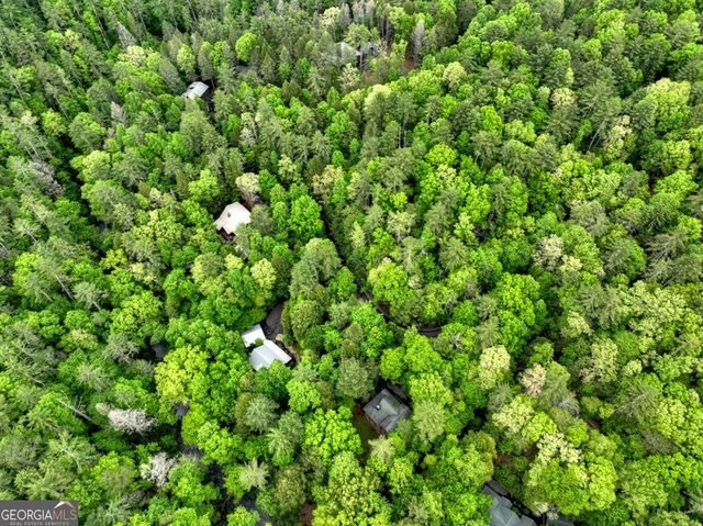 300 River Road, Cherry Log, GA 30522