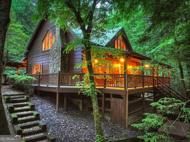 300 River Road, Cherry Log, GA 30522