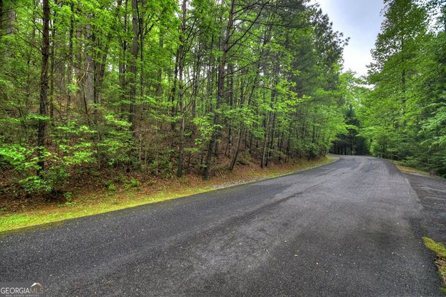 300 River Road, Cherry Log, GA 30522