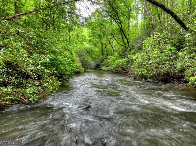 300 River Road, Cherry Log, GA 30522