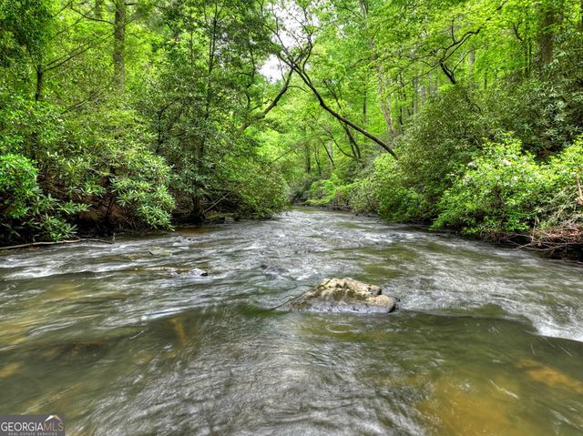 300 River Road, Cherry Log, GA 30522