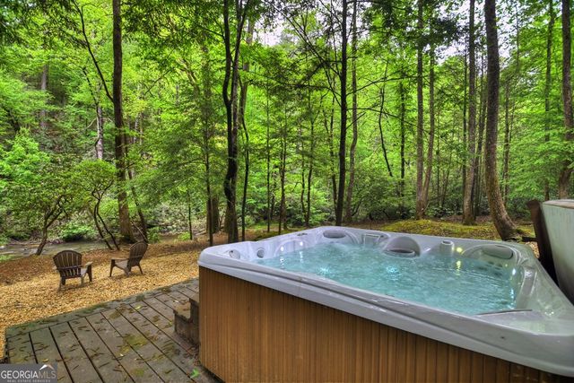 300 River Road, Cherry Log, GA 30522