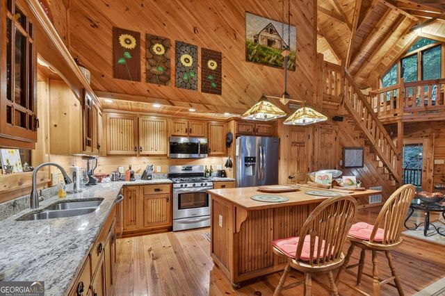 300 River Road, Cherry Log, GA 30522
