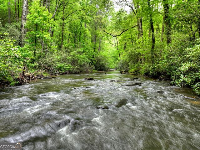 300 River Road, Cherry Log, GA 30522