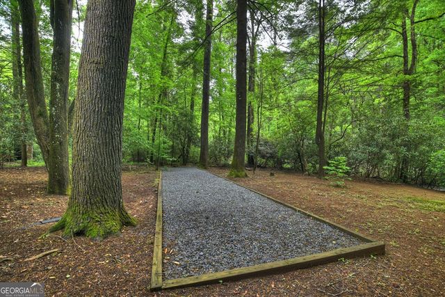300 River Road, Cherry Log, GA 30522