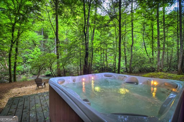 300 River Road, Cherry Log, GA 30522