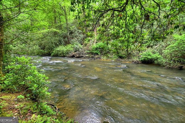 300 River Road, Cherry Log, GA 30522