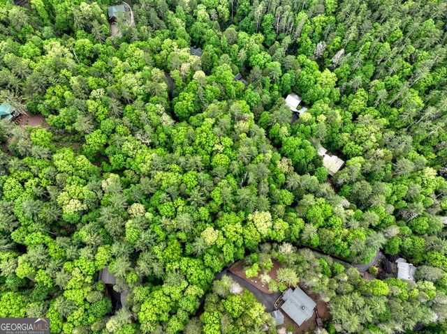 300 River Road, Cherry Log, GA 30522