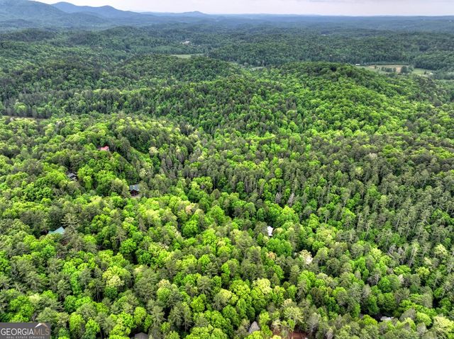 300 River Road, Cherry Log, GA 30522