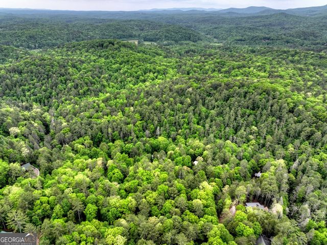 300 River Road, Cherry Log, GA 30522