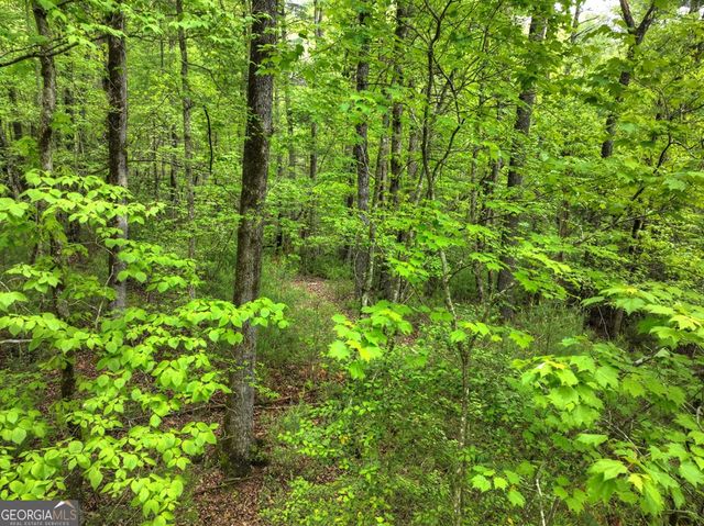 300 River Road, Cherry Log, GA 30522