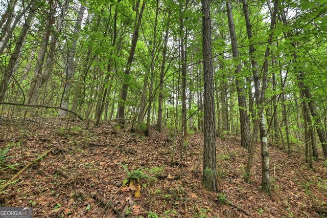 300 River Road, Cherry Log, GA 30522