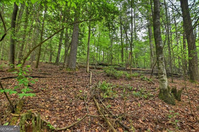 300 River Road, Cherry Log, GA 30522