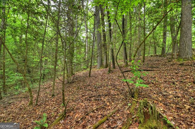 300 River Road, Cherry Log, GA 30522
