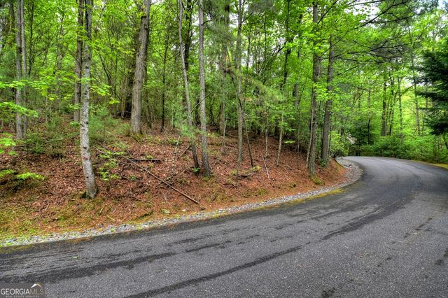 300 River Road, Cherry Log, GA 30522