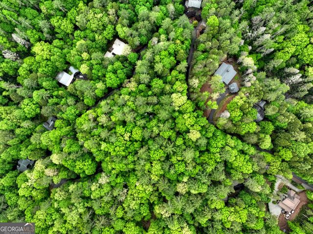 300 River Road, Cherry Log, GA 30522