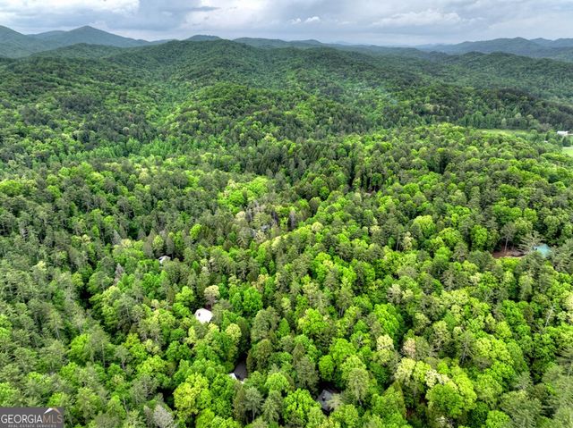 300 River Road, Cherry Log, GA 30522