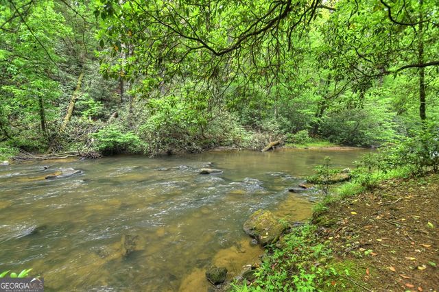 300 River Road, Cherry Log, GA 30522