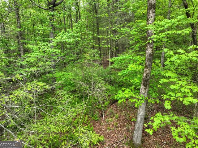 300 River Road, Cherry Log, GA 30522