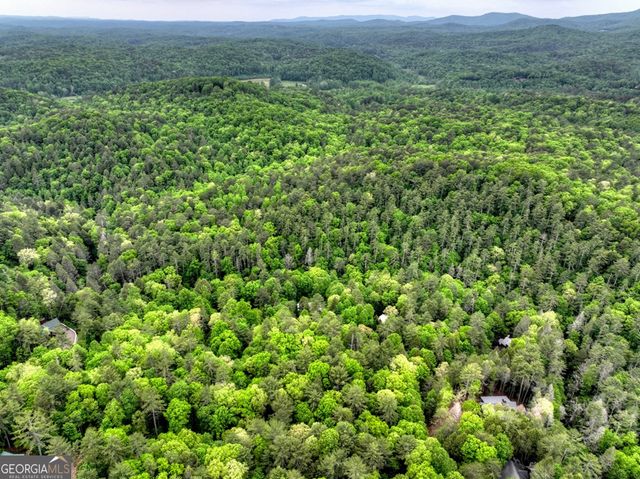 300 River Road, Cherry Log, GA 30522