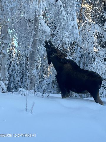 36276 Lou Morgan Road, Sterling, AK 99672