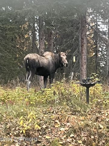 36276 Lou Morgan Road, Sterling, AK 99672