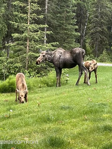 36276 Lou Morgan Road, Sterling, AK 99672