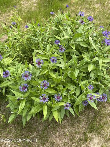 36276 Lou Morgan Road, Sterling, AK 99672