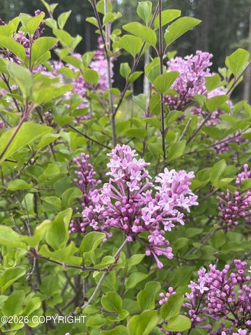 36276 Lou Morgan Road, Sterling, AK 99672