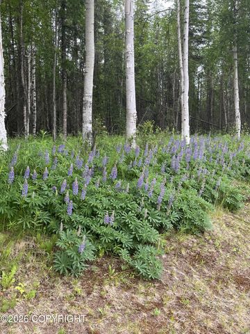 36276 Lou Morgan Road, Sterling, AK 99672