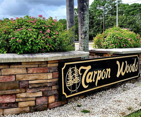 3529 TANGLEWOOD TRAIL, Palm Harbor, FL 34685