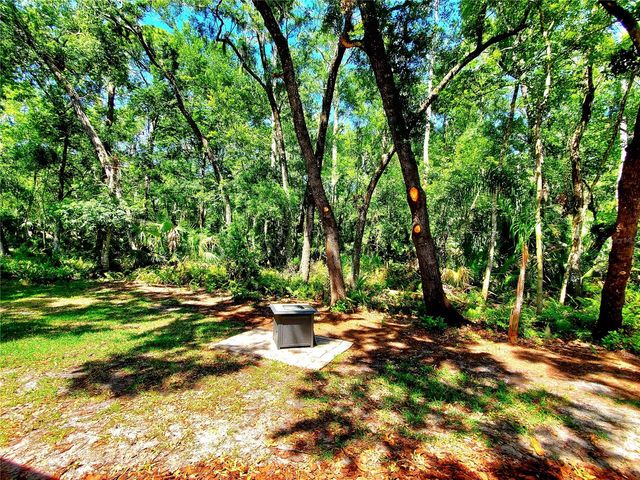 3529 TANGLEWOOD TRAIL, Palm Harbor, FL 34685