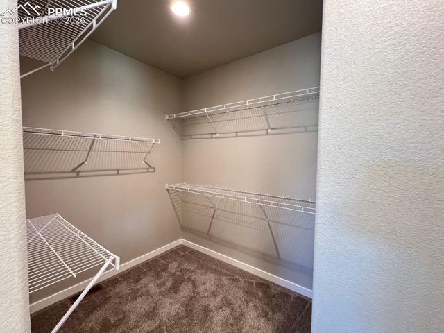 112 Limbach Court, Monument, CO 80132