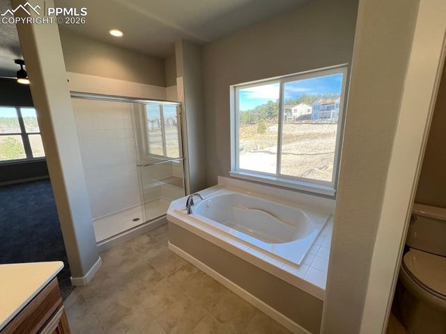 112 Limbach Court, Monument, CO 80132