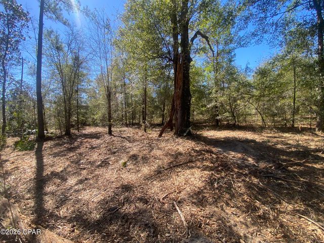 00 Pasofino Lane, Alford, FL 32420