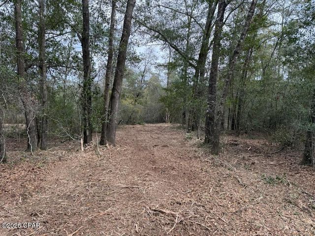 00 Pasofino Lane, Alford, FL 32420