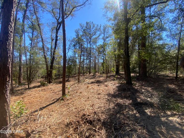 00 Pasofino Lane, Alford, FL 32420