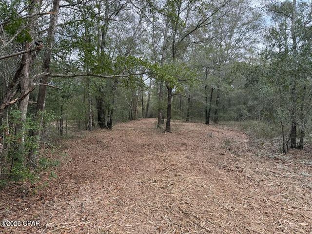 00 Pasofino Lane, Alford, FL 32420