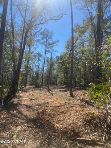 00 Pasofino Lane, Alford, FL 32420