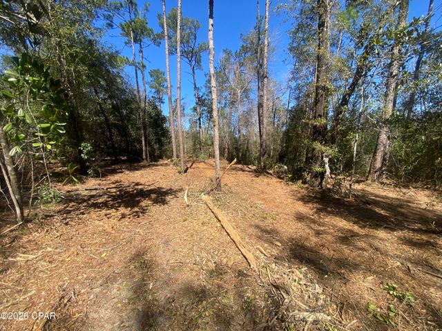 00 Pasofino Lane, Alford, FL 32420