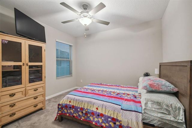 6241 SPIDER LILY WAY, New Port Richey, FL 34653