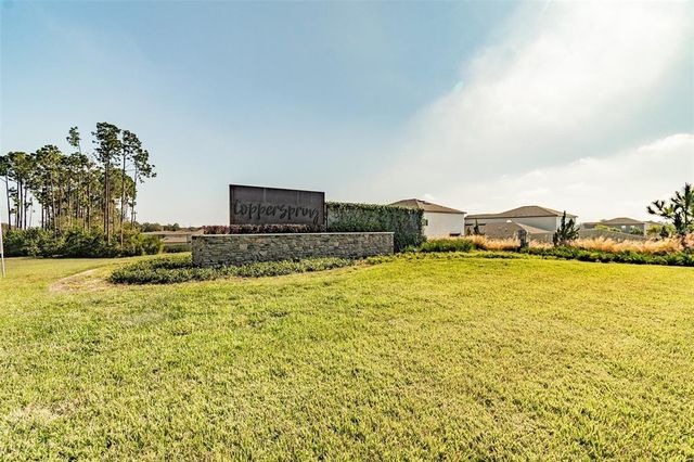 6241 SPIDER LILY WAY, New Port Richey, FL 34653