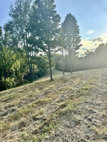 6 Turkey Creek, Carthage, TN 37030