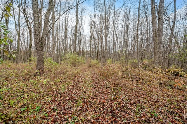 4669 155th Avenue, Hersey, MI 49639