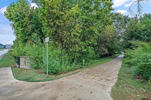 4538 Brushy Creek Cove, Tyler, TX 75703