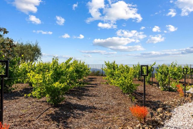 18264 AVENIDA MANANTIAL, Rancho Santa Fe, CA 92067