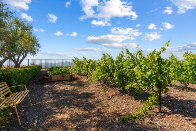 18264 AVENIDA MANANTIAL, Rancho Santa Fe, CA 92067