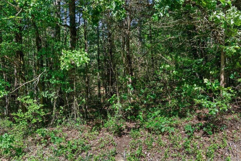 Par Block 5 SunnyMeadow/Broadway, Heber Springs, AR 72543 — photo 12